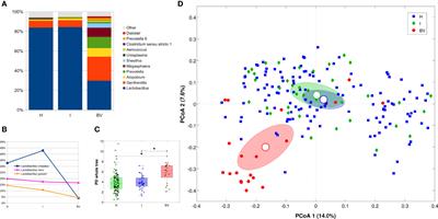 A Deep Look at the Vaginal Environment During Pregnancy and Puerperium